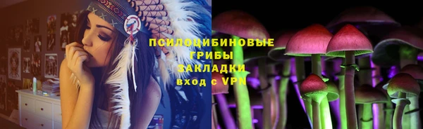 скорость Липки